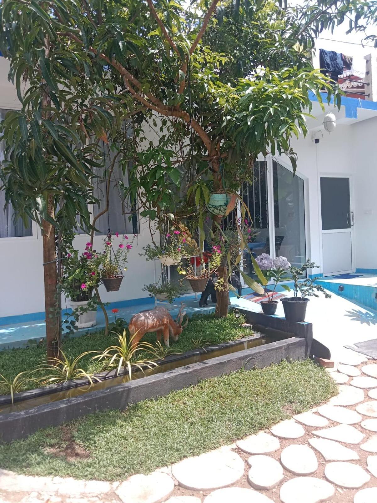 Moon Light Guest Bed & Breakfast Mirissa Exterior photo
